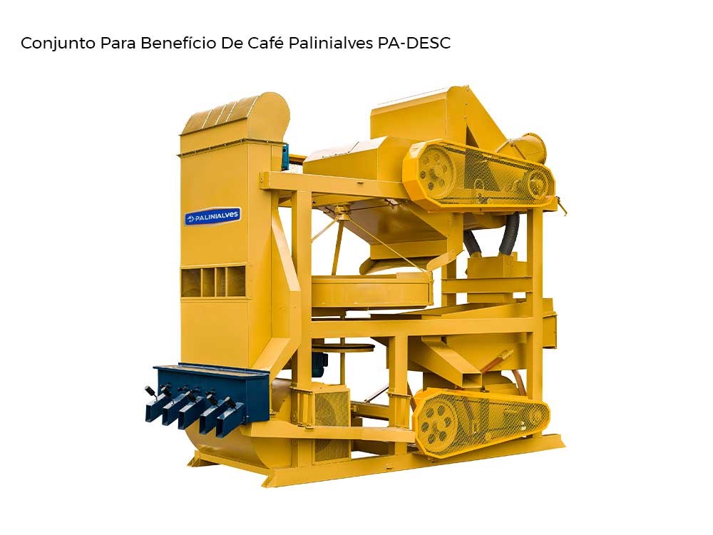 Palinialves - Pa-Desc