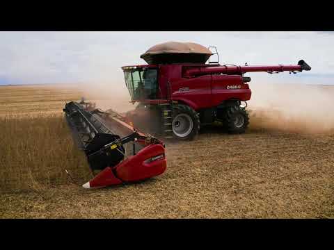 Hwill - Case IH | Colheitadeira Axial-Flow Série 250 